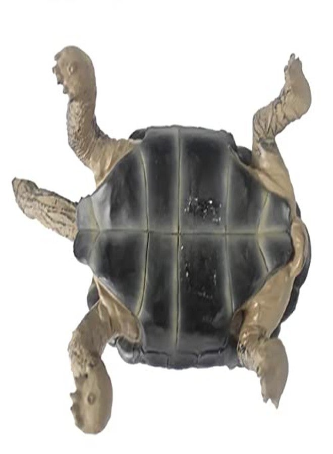 NomoyPet Resin Turtle Shape Decoration Toy for Terrarium (A8-Galapacos (18.5 * 8.5 * 10cm)) - Image 3